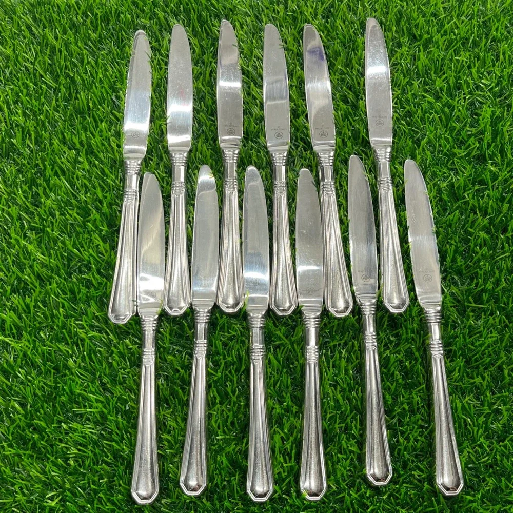 Pfaltzgraff Providence Stainless Steel Dinner Knives Set of 12 Silverware 9.25in